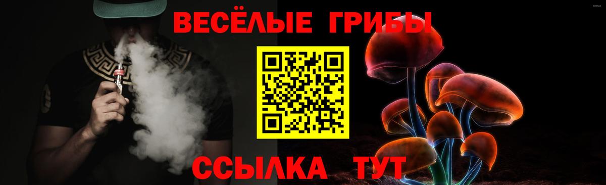 магазин  наркотиков  Галлюциногенные грибы Cubensis  Вход с VPN  Алатырь  Галлюциногенные грибы Psilocybine cubensis 